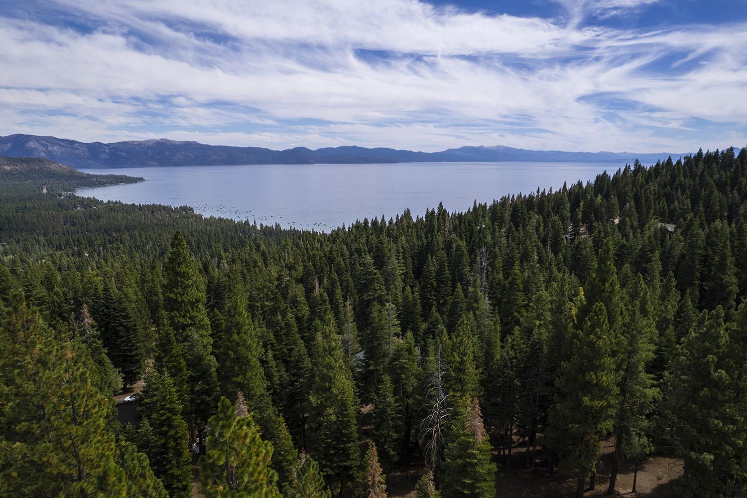 1359 Kings Way Tahoe Vista, CA 96148 - Photo 22 of 23 a view of a city with lush green forest