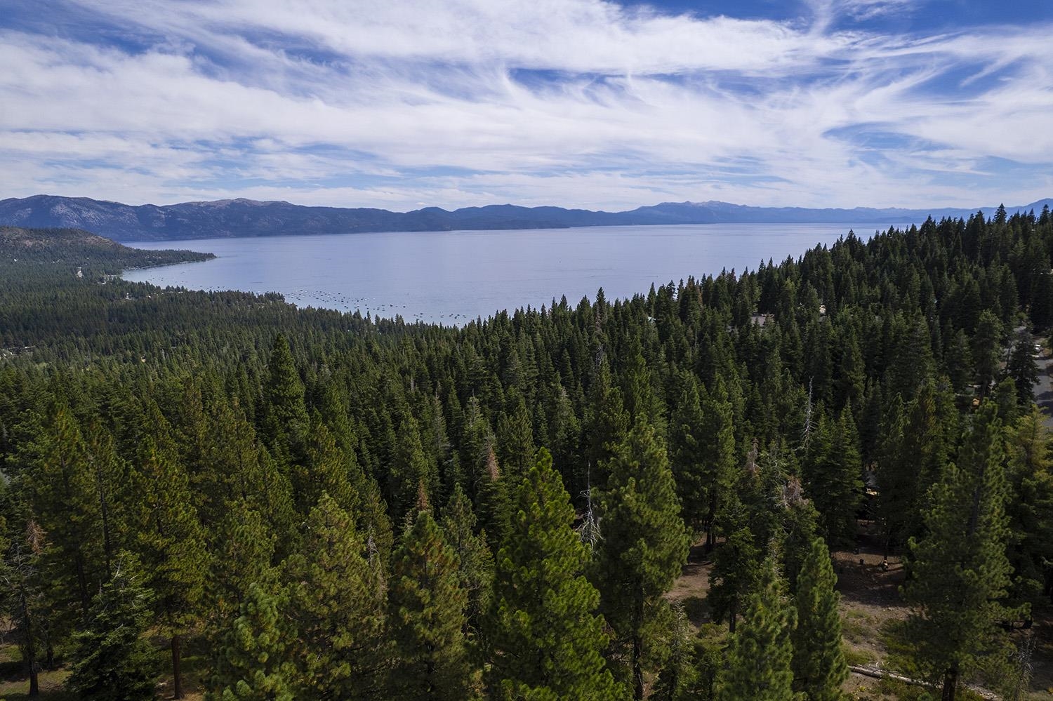 1359 Kings Way Tahoe Vista, CA 96148 - Photo 23 of 23 a view of a city with lush green forest