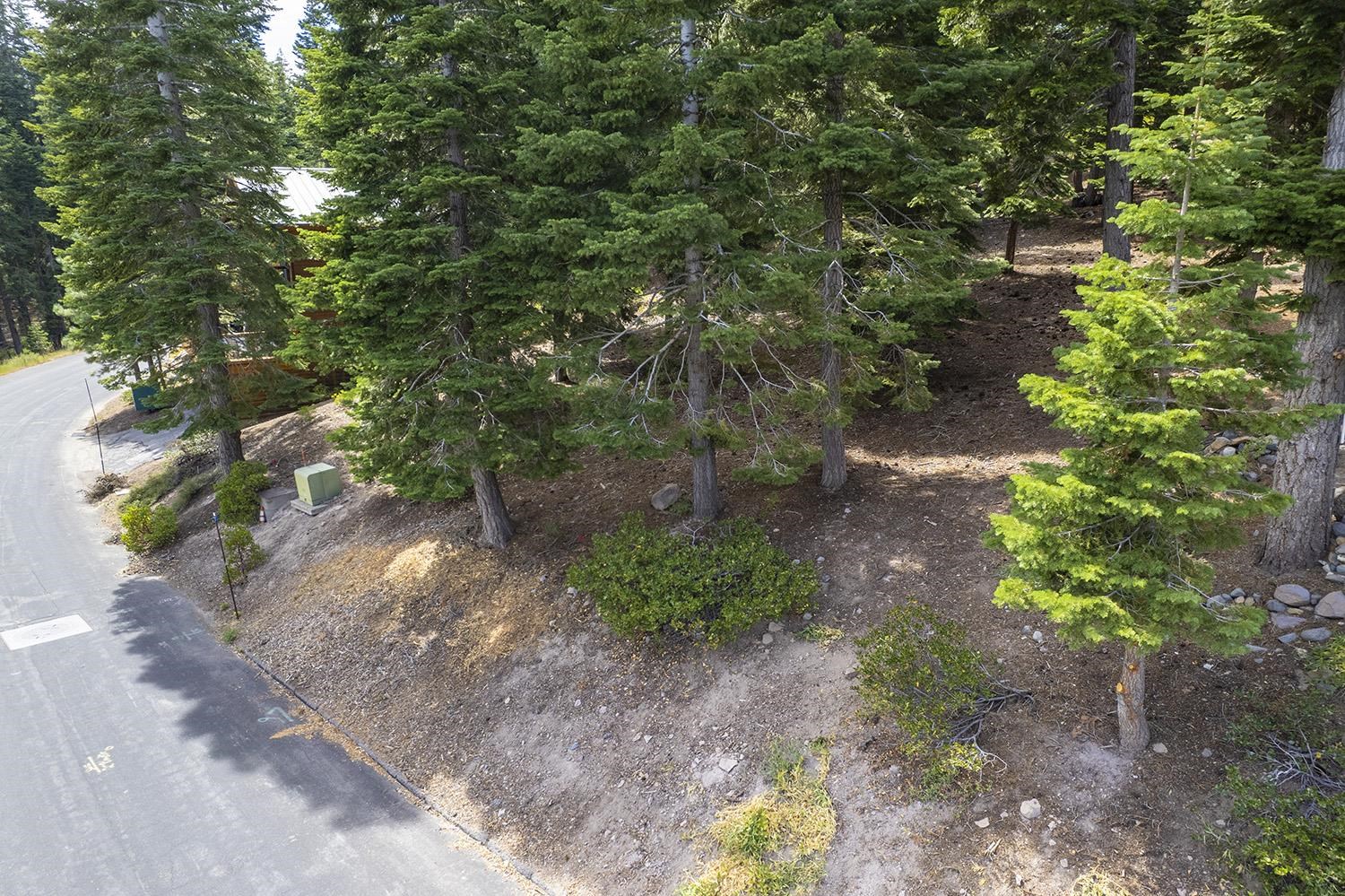 1359 Kings Way Tahoe Vista, CA 96148 - Photo 6 of 23 a backyard of a house with lots of green space