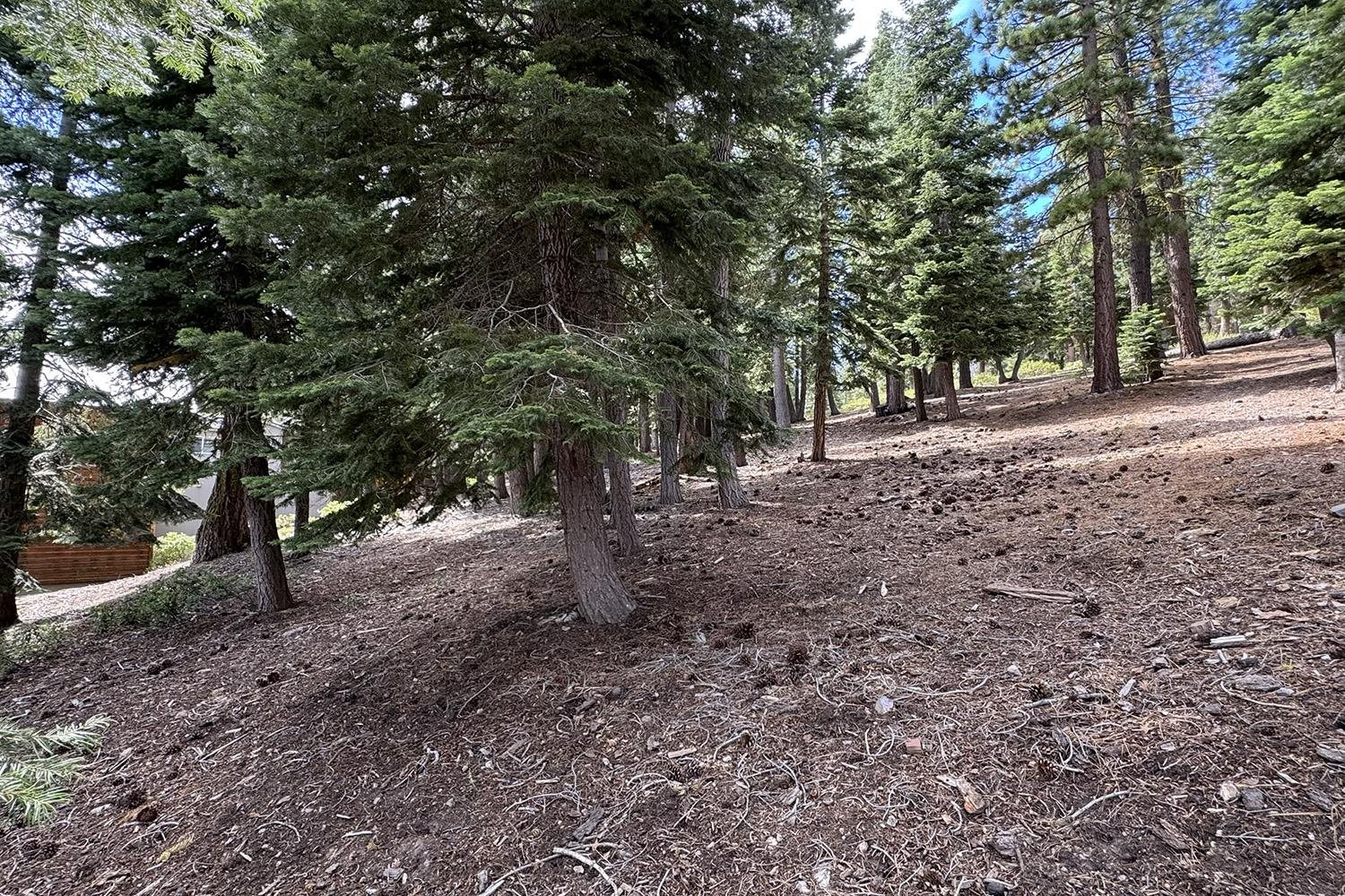 1359 Kings Way Tahoe Vista, CA 96148 - Photo 8 of 23 a view of outdoor space with tree s