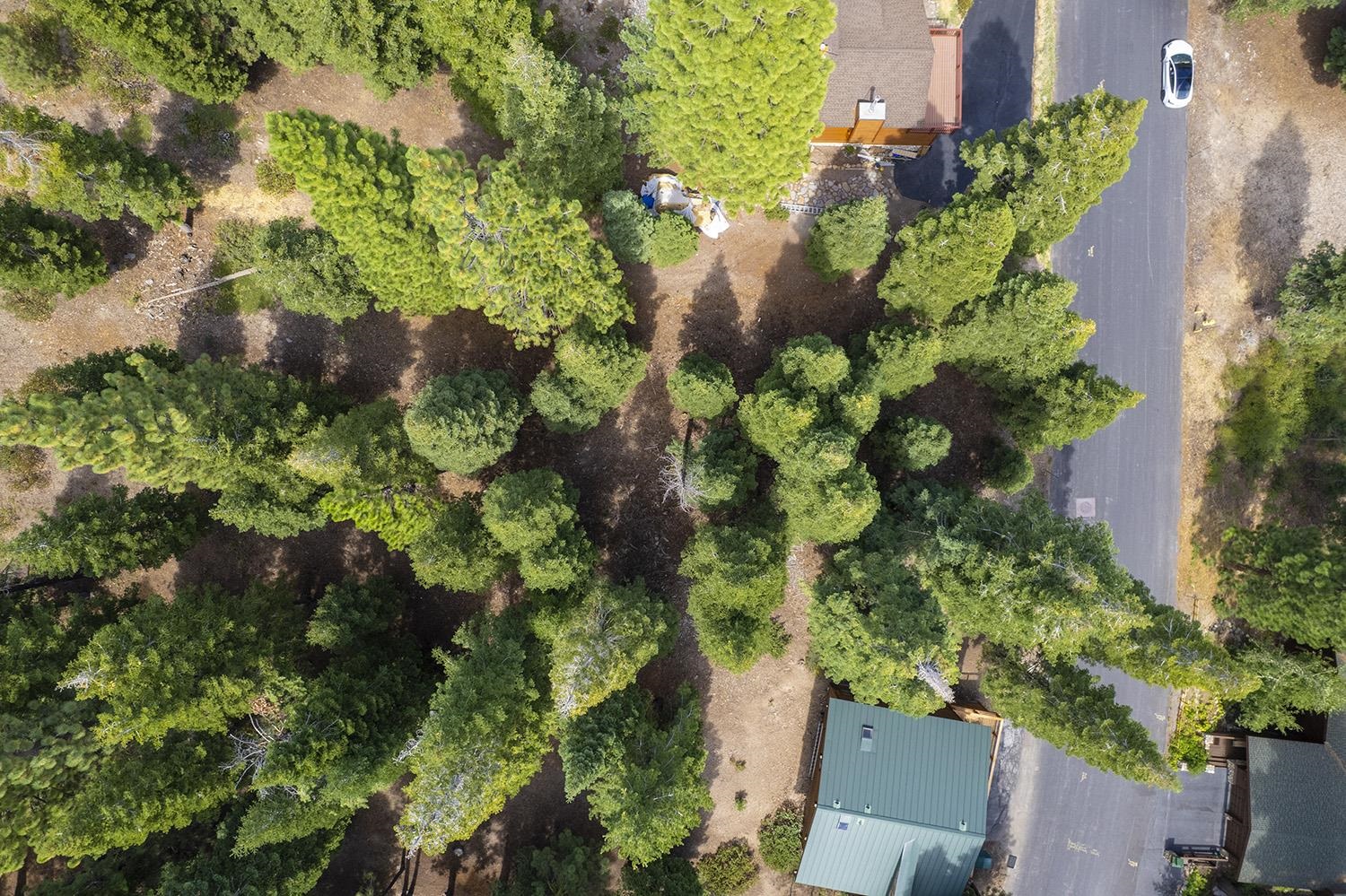 1359 Kings Way Tahoe Vista, CA 96148 - Photo 9 of 23 an aerial view of a house with a yard