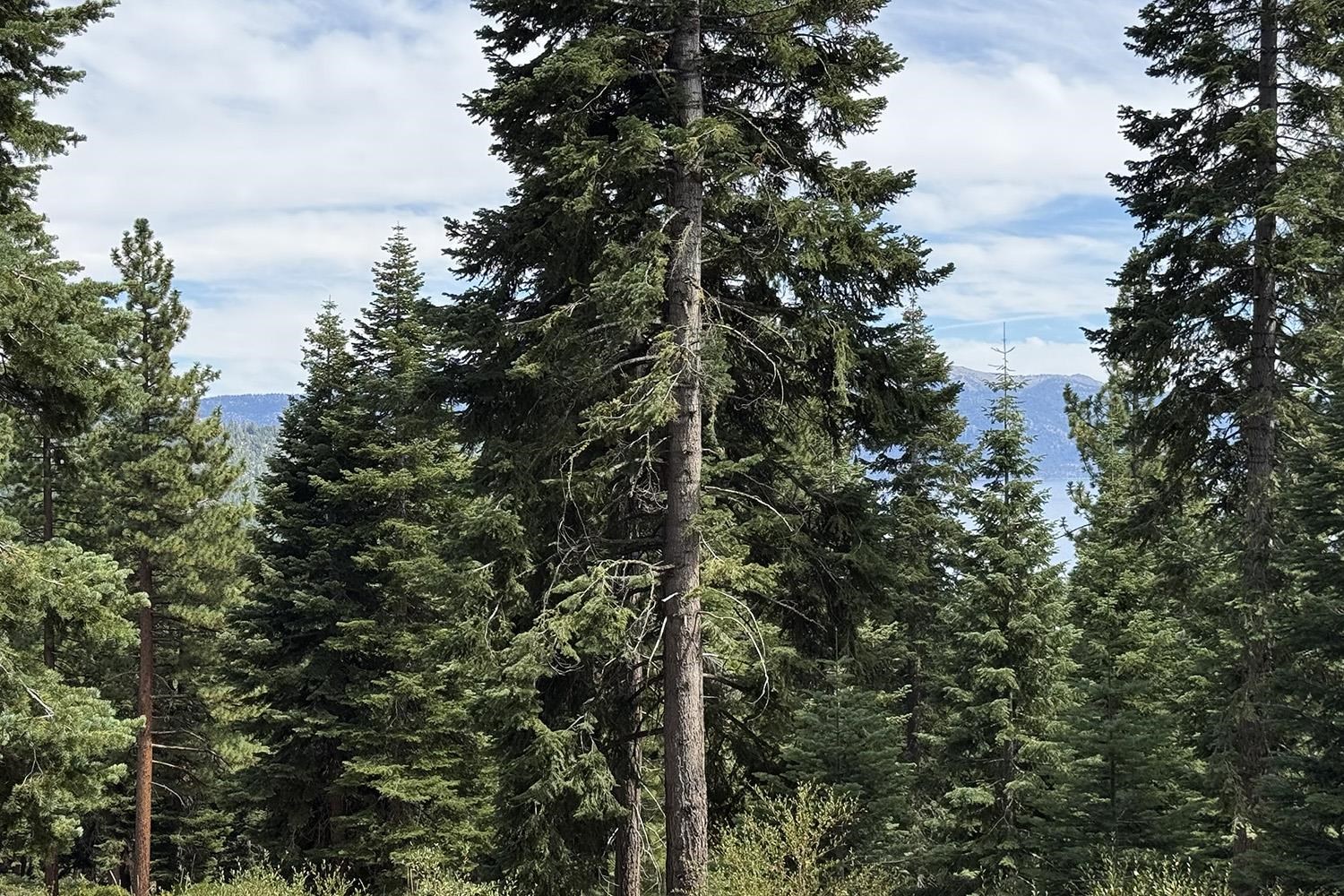 1359 Kings Way Tahoe Vista, CA 96148 - Photo 10 of 23 a view of a city