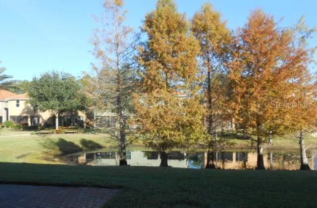 a view of park with tree s