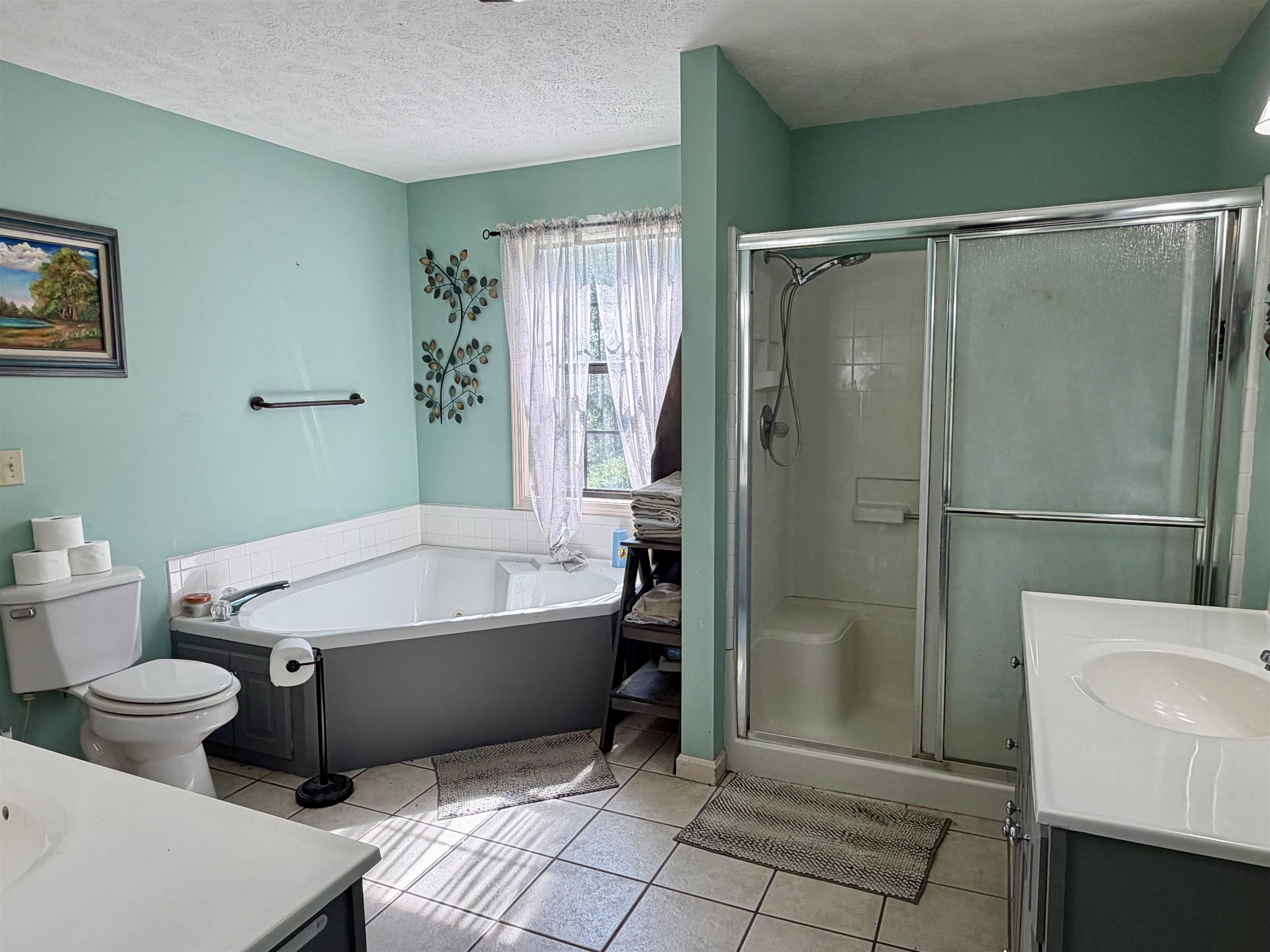 1536 Robinson Shed Road Bethel Springs, TN 38315 - Photo 15 of 23 Bathroom featuring a corner soaking tub, a separate shower with a sliding glass door, and dual vanities with white countertops