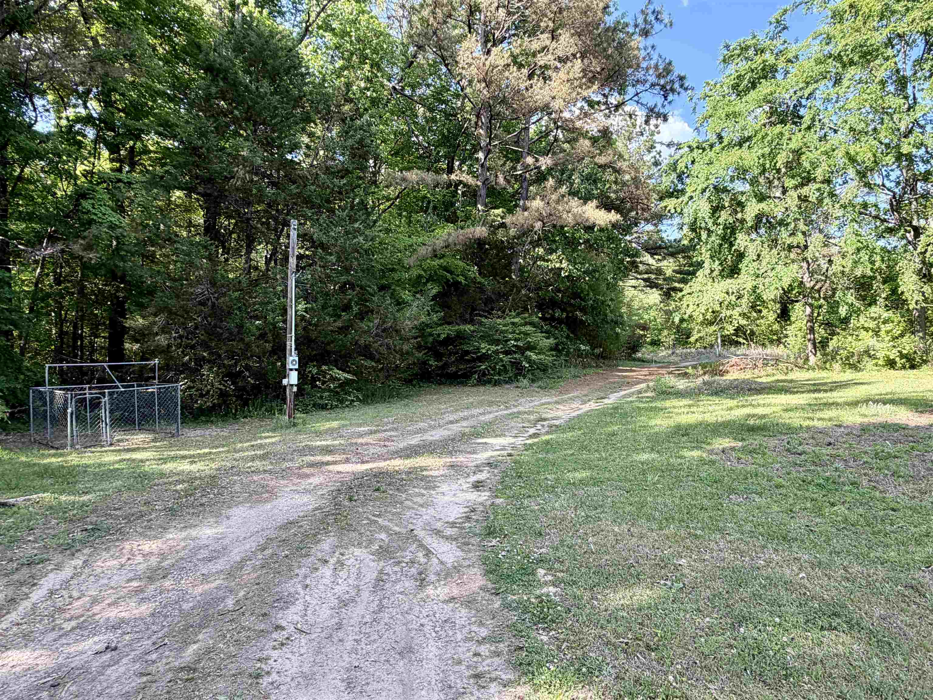 1536 Robinson Shed Road Bethel Springs, TN 38315 - Photo 23 of 23 Expansive treed lot featuring a dirt road entry, partial chain link fencing, and a utility pole