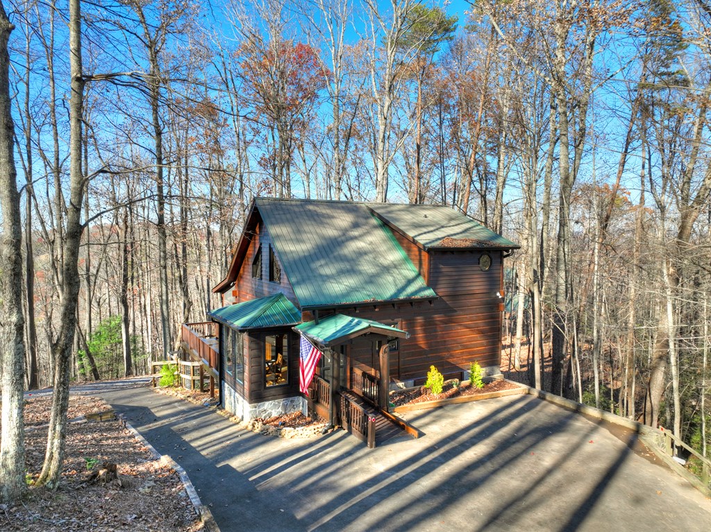 22 Running Bear Ridge Blue Ridge, GA 30513 - Photo 56 of 60 Front of home