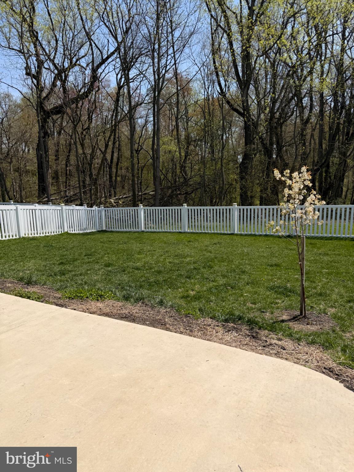 73 Gypsum Road Dover, DE 19904 - Photo 27 of 30 Serene fenced yard with budding tree.