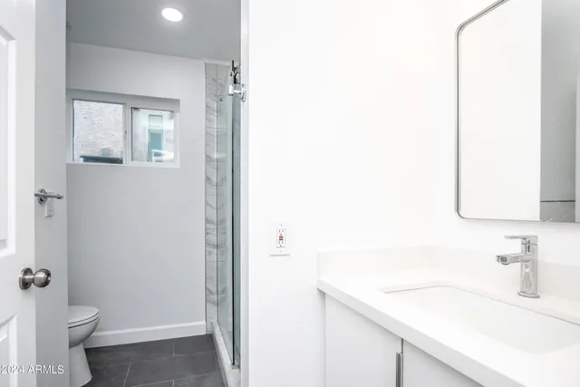 a bathroom with a sink a toilet and shower