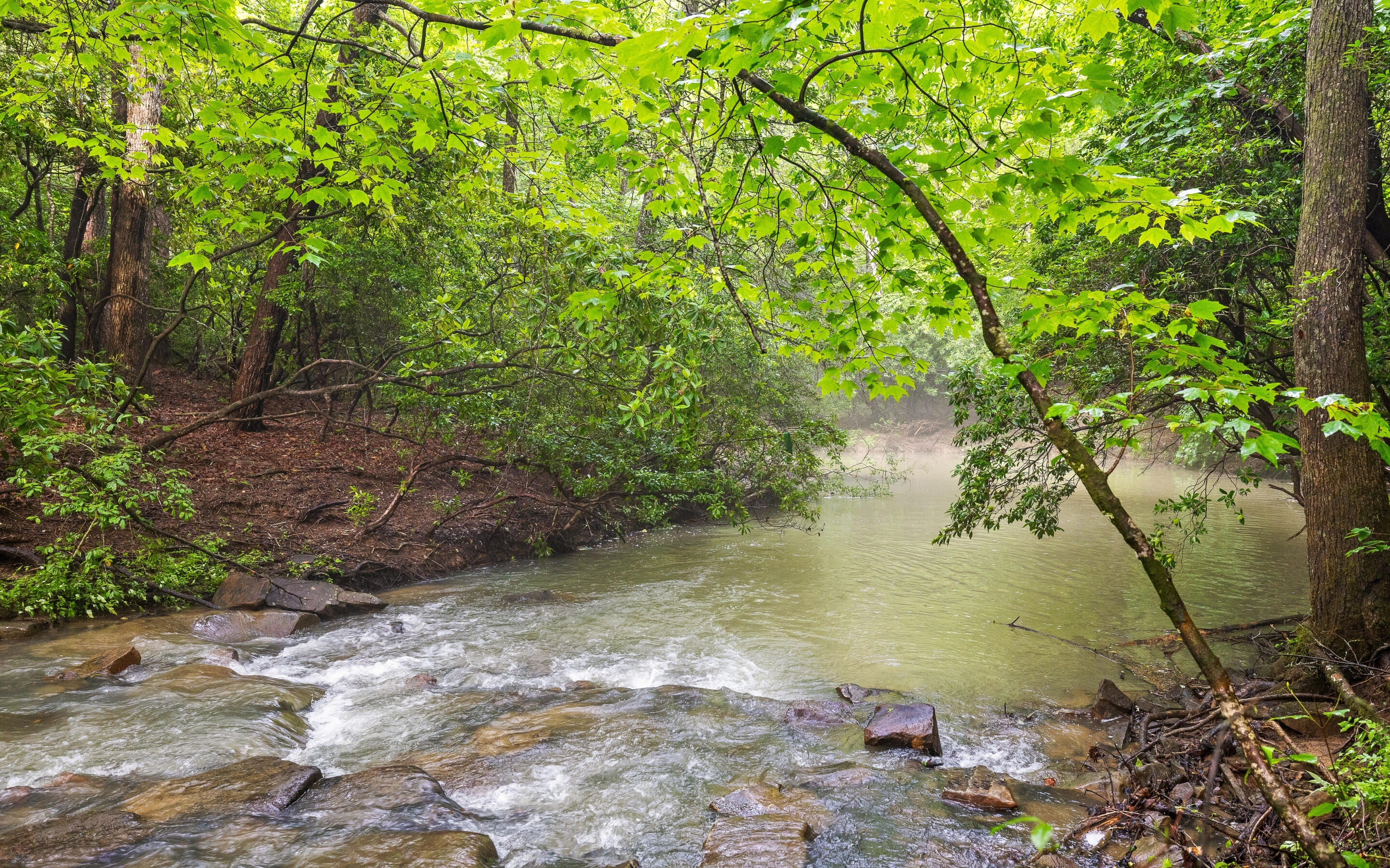 266 Beaten Path Signal Mountain, TN 37377 - Photo 63 of 76 63