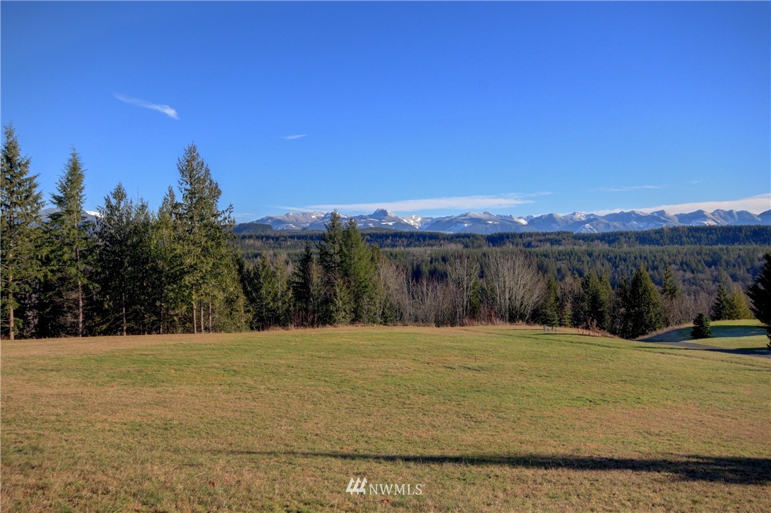 5901 Tolt River Road Northeast Carnation, WA 98014 - Photo 10 of 11 Gallery Image 10