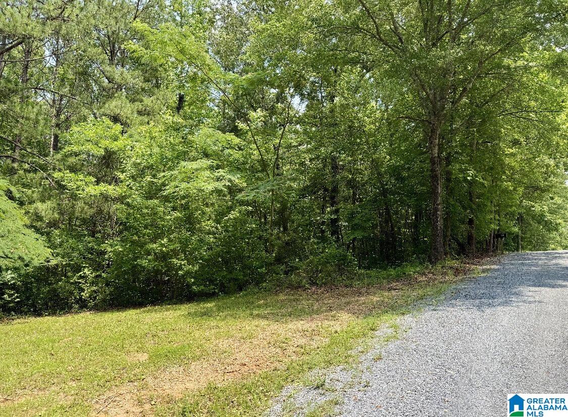 201 North Norton Road, Unit 5 & 6 Sylacauga, AL 35151 - Photo 7 of 9