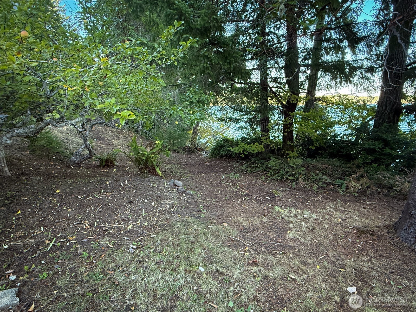 71 Seal Rock Road Brinnon, WA 98320 - Photo 21 of 22 a view of a forest with trees in the background