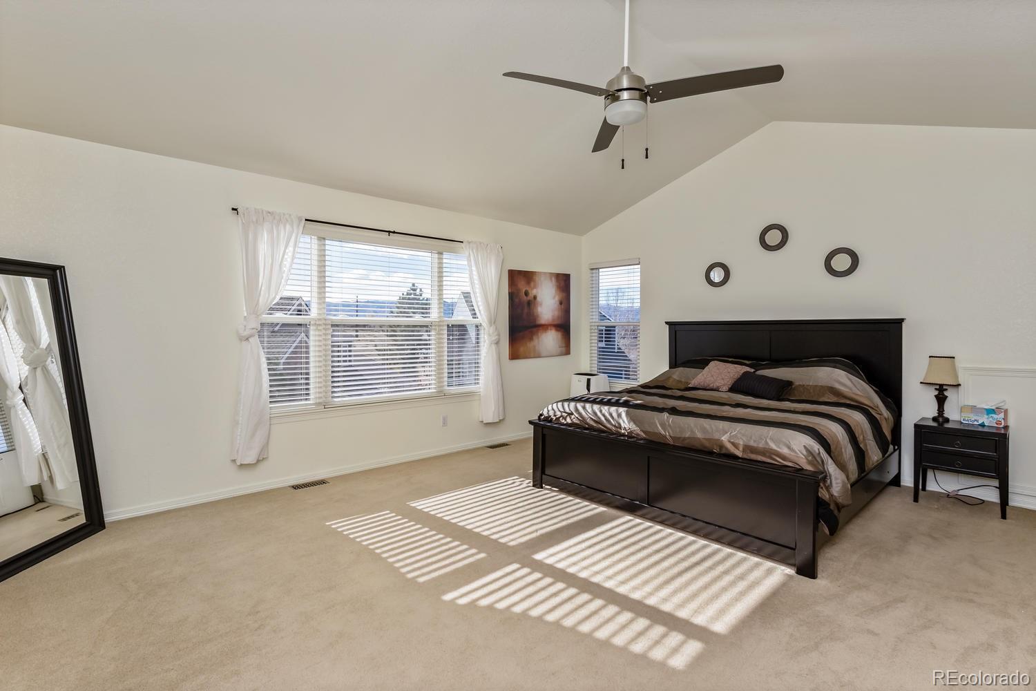 2482 Cactus Bluff Place Highlands Ranch, CO 80129 - Photo 19 of 33