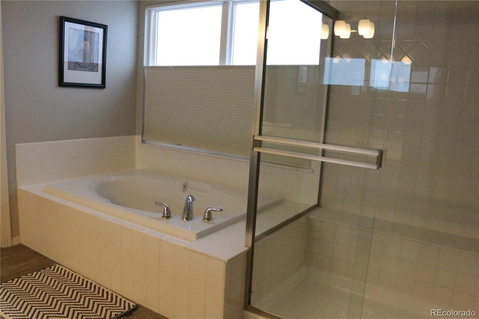 2482 Cactus Bluff Place Highlands Ranch, CO 80129 - Photo 21 of 33