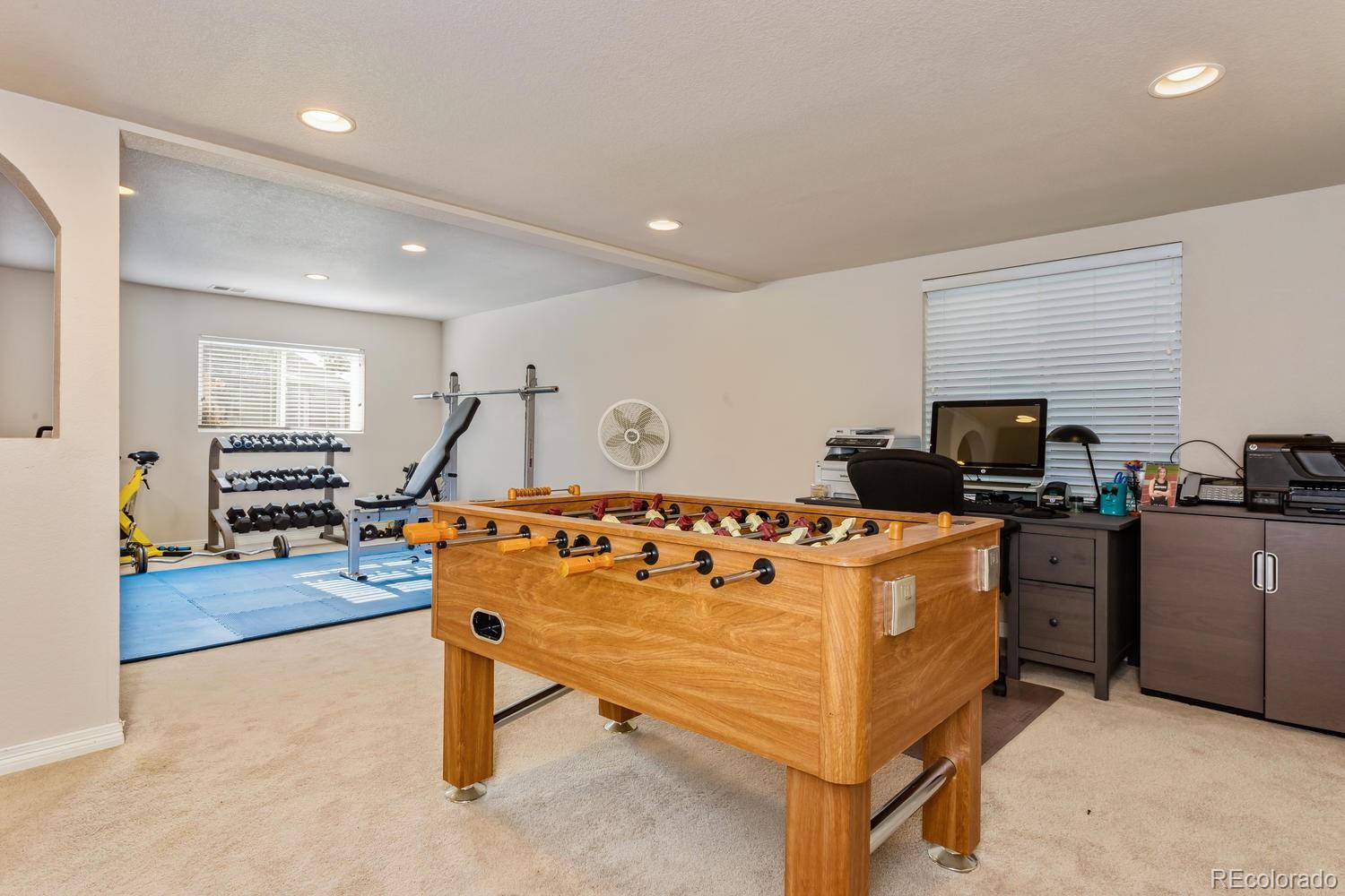2482 Cactus Bluff Place Highlands Ranch, CO 80129 - Photo 27 of 33