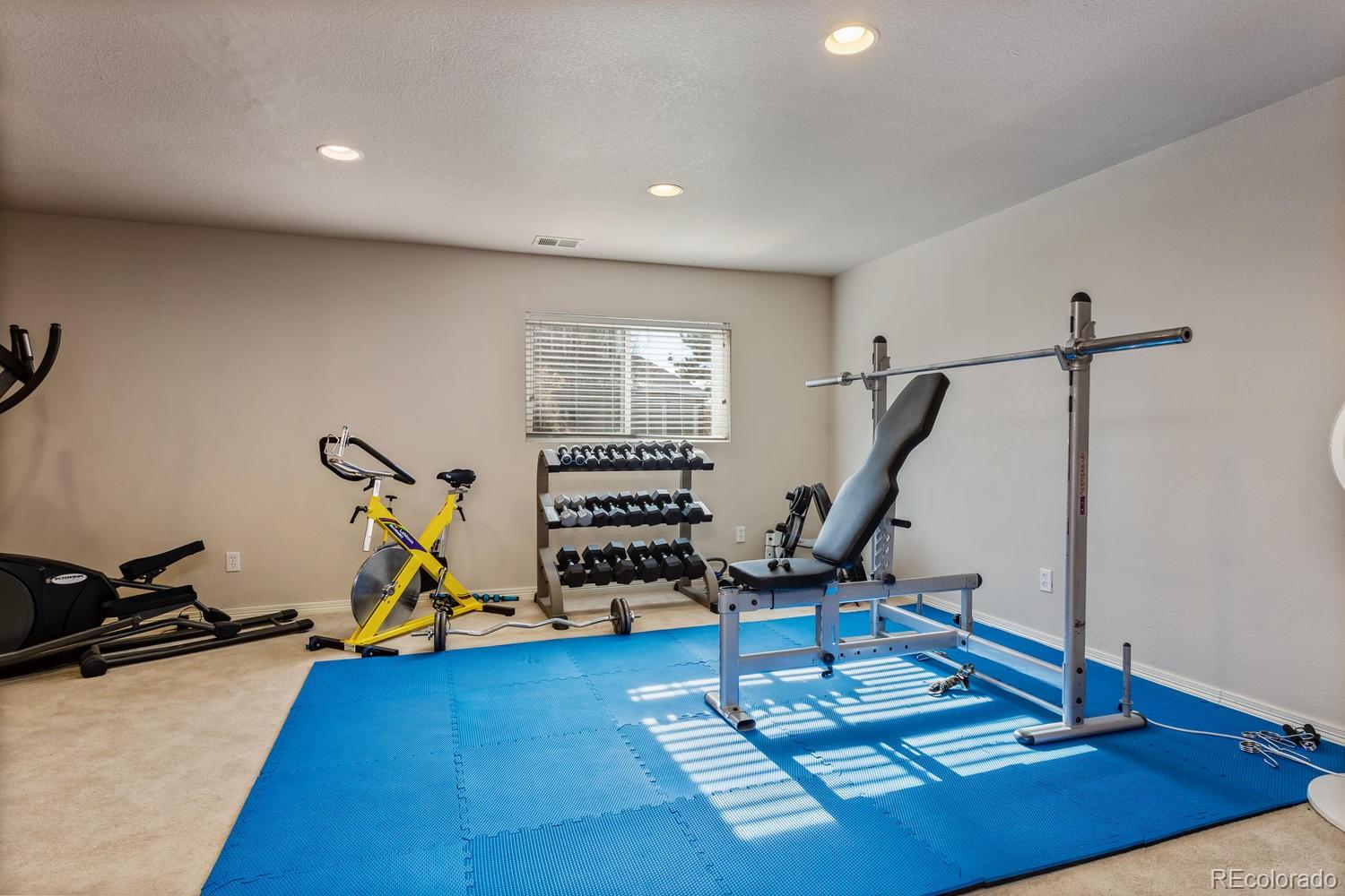 2482 Cactus Bluff Place Highlands Ranch, CO 80129 - Photo 28 of 33