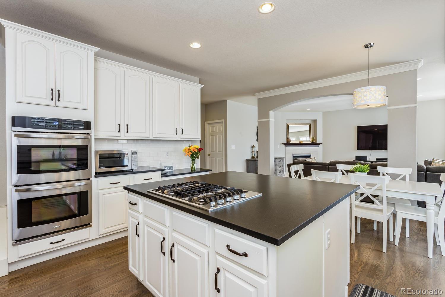 2482 Cactus Bluff Place Highlands Ranch, CO 80129 - Photo 8 of 33