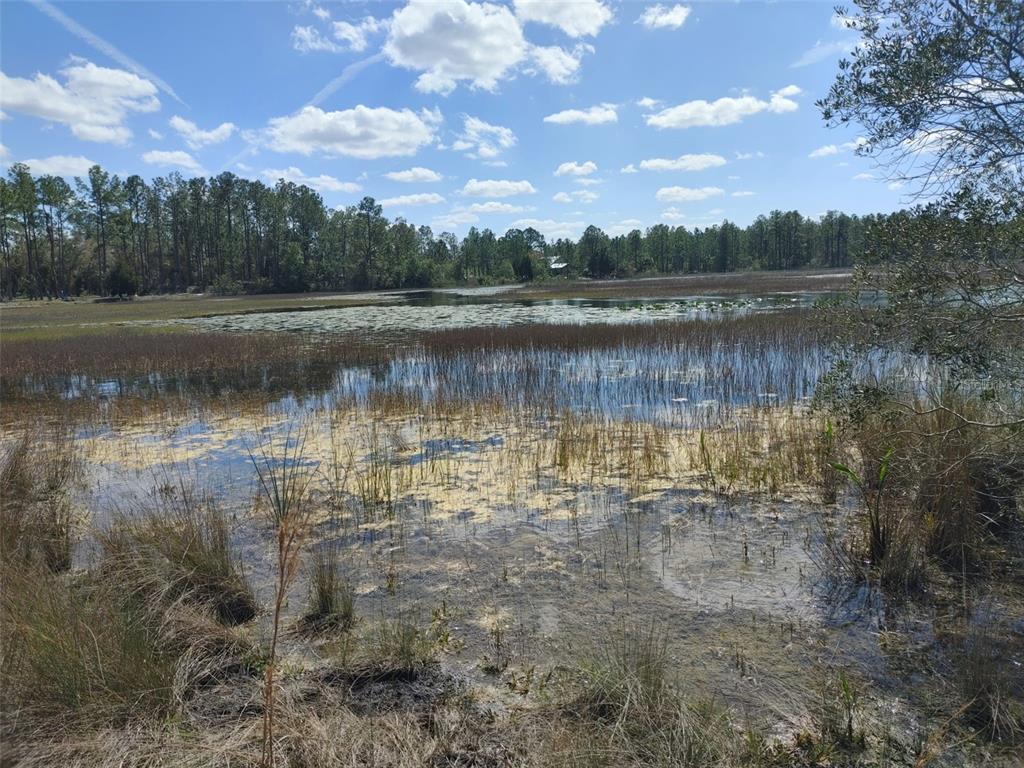 7143 Alloy Street Webster, FL 33597 - Photo 4 of 4 a view of a lake
