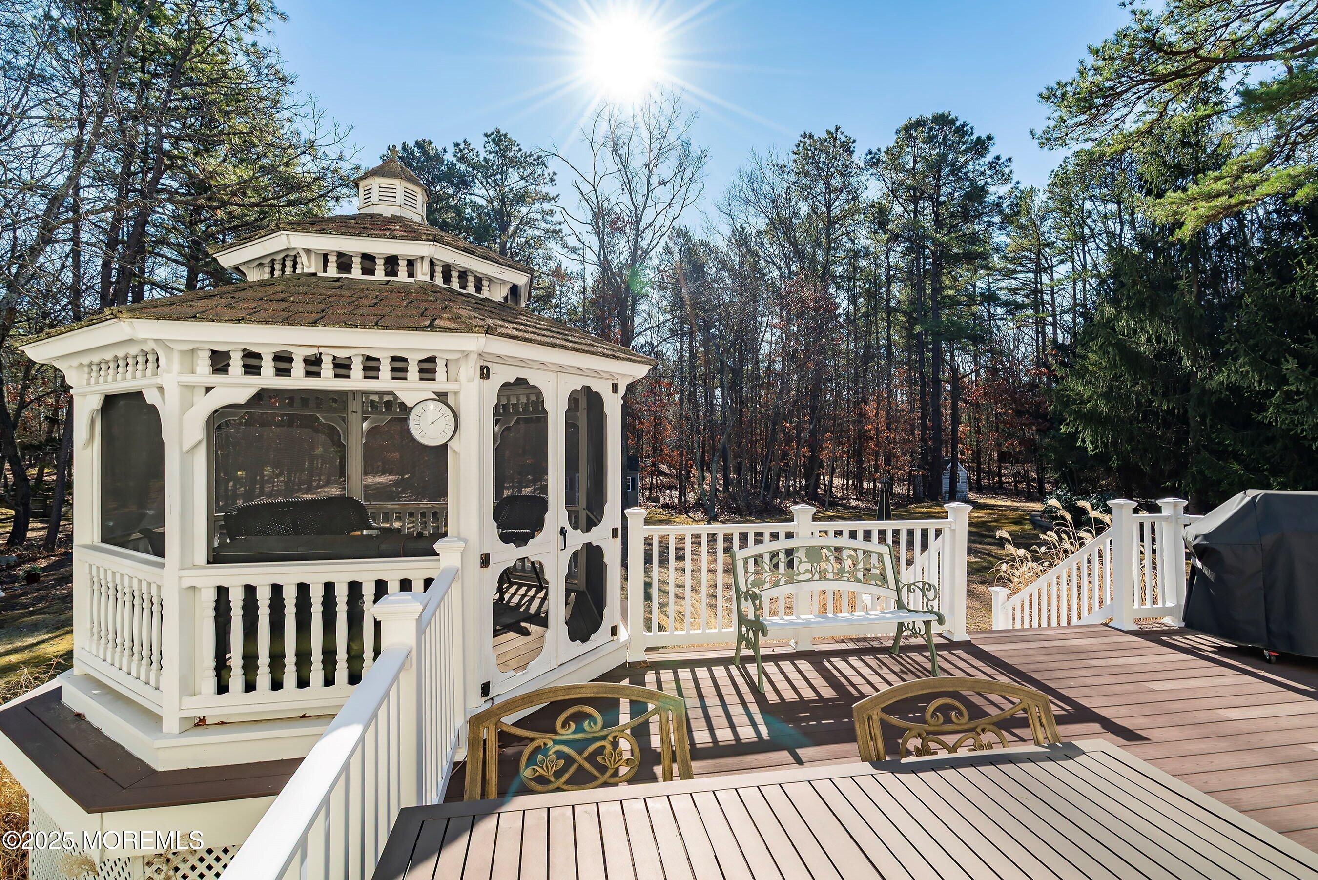 225 Hope Chapel Road Jackson, NJ 08527 - Photo 27 of 37 29-Rear Deck 1