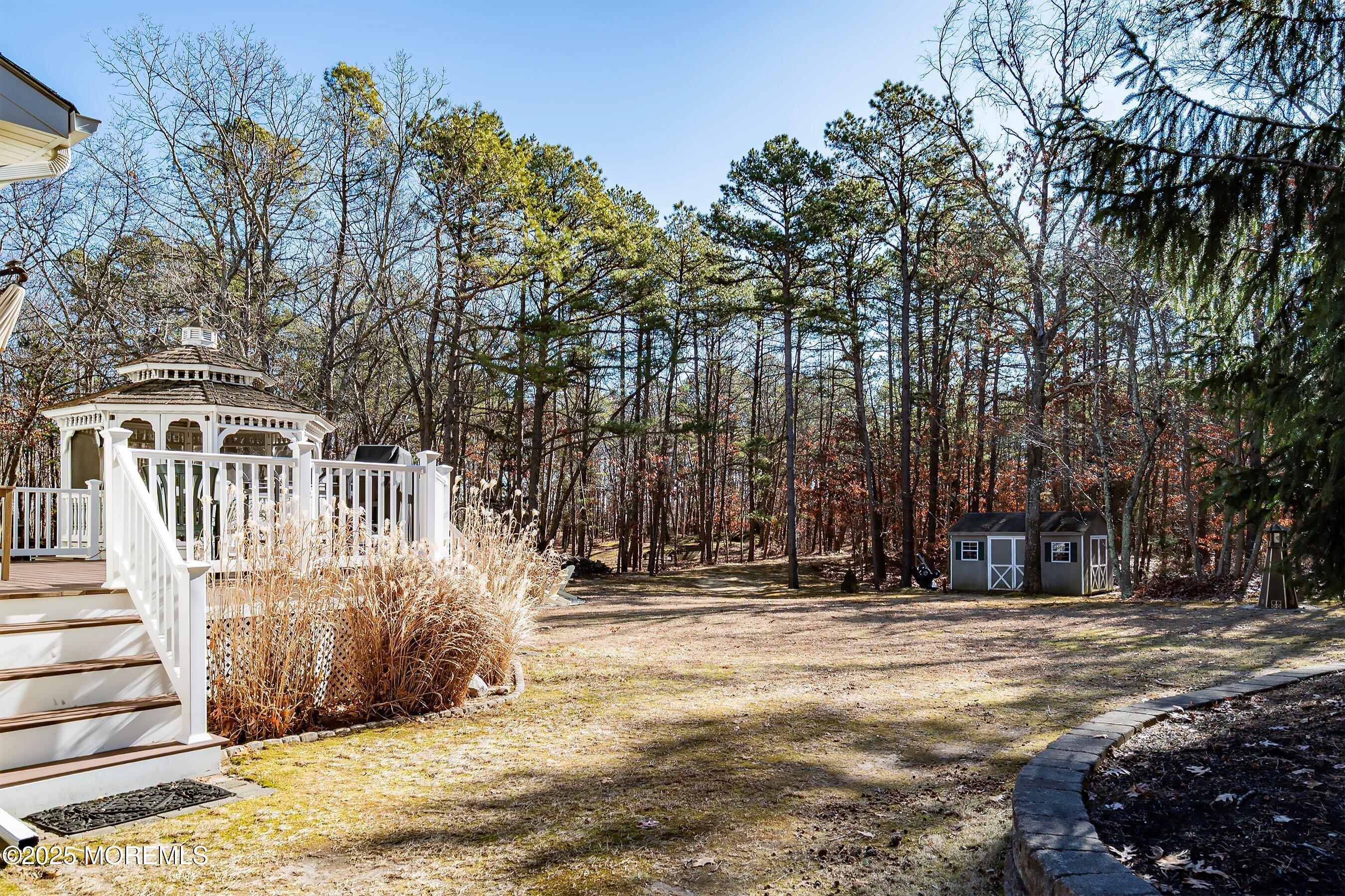 225 Hope Chapel Road Jackson, NJ 08527 - Photo 29 of 37 31-Rear Yard 2
