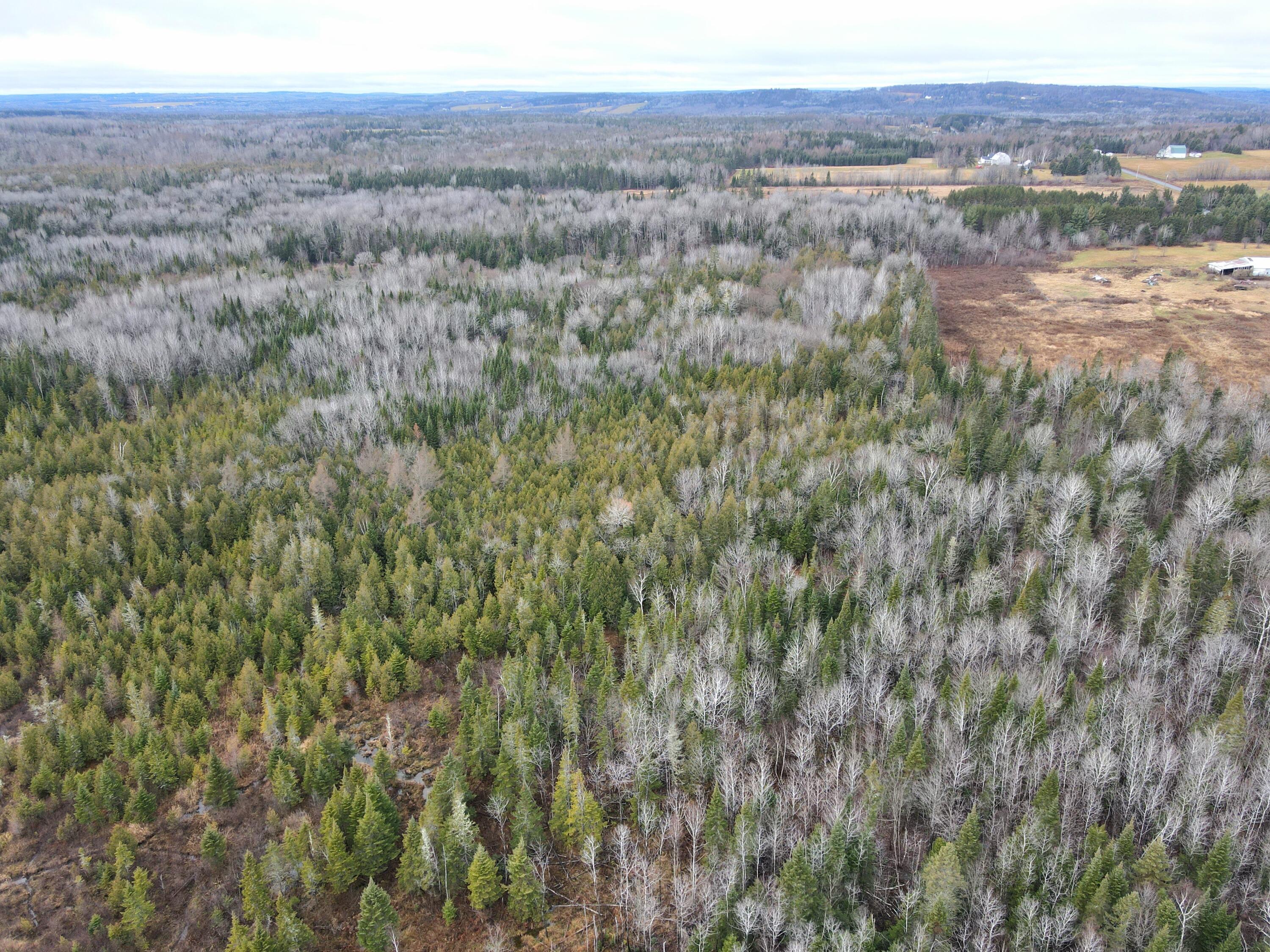 480 Plante Road Caribou, ME 04736 - Photo 15 of 25 dji_fly_20241116_100622_958_173201764100