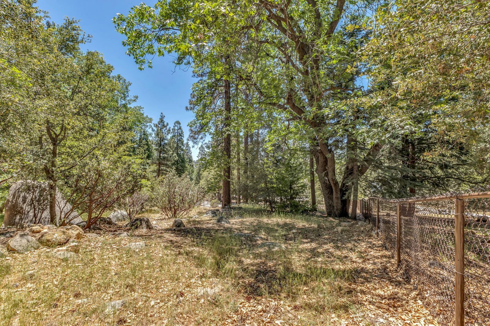 25595 Glen Road Idyllwild, CA 92549 - Photo 46 of 51 a view of backyard with green space