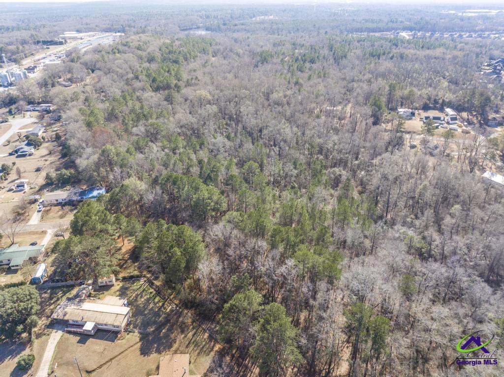 42.5 Old Perry Road Hawkinsville, GA 31036 - Photo 10 of 17