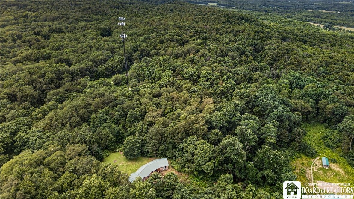 7883 Thayer Road Portland, NY 14769 - Photo 14 of 34 Gallery Image 14