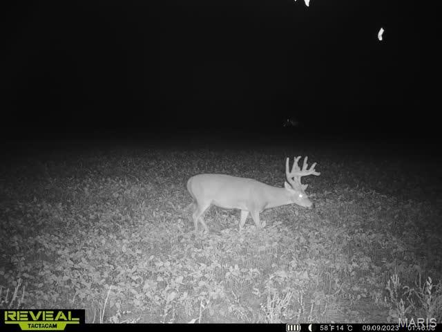 0 East Rileyville Road Dix, IL 62830 - Photo 13 of 20 Gallery Image 13