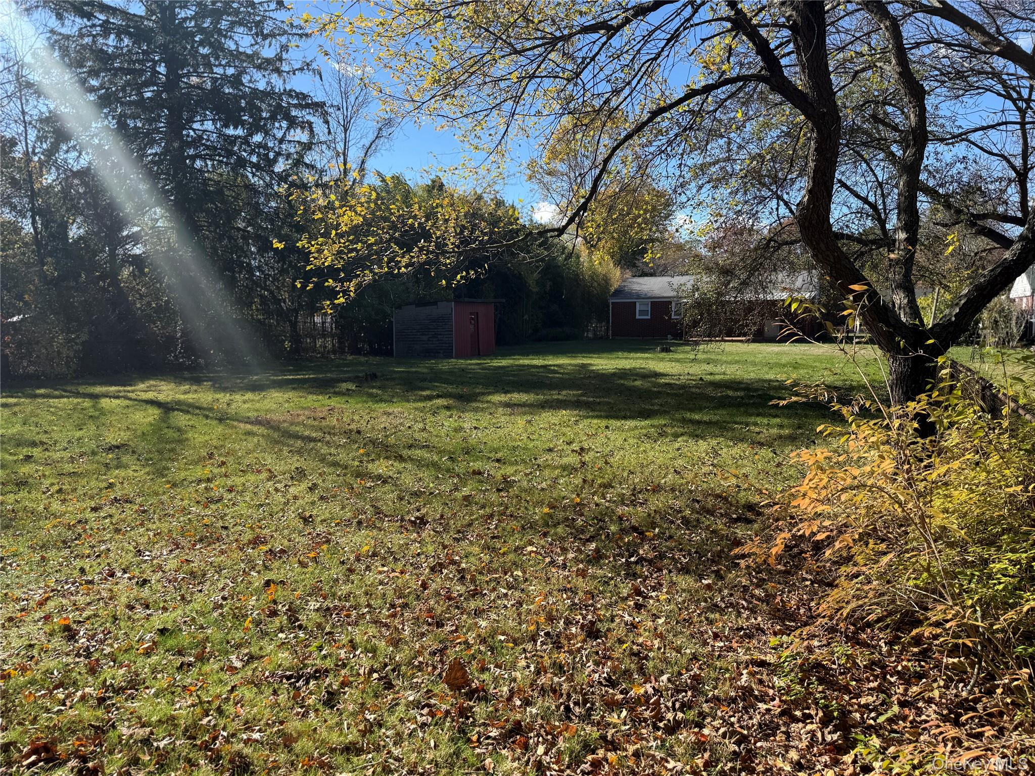 1663 North Thompson Drive Bay Shore, NY 11706 - Photo 20 of 22 a view of a yard with a tree