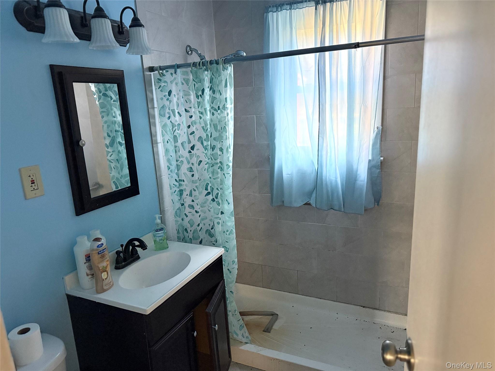 1663 North Thompson Drive Bay Shore, NY 11706 - Photo 8 of 22 a bathroom with a sink a toilet and shower