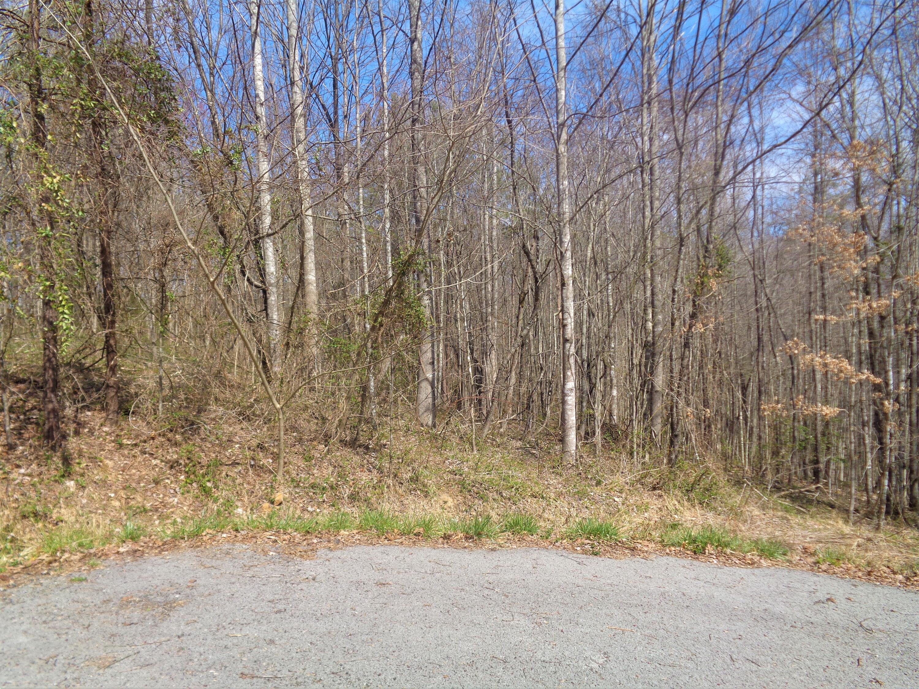 84 Rodeo Drive Corbin, KY 40701 - Photo 13 of 15 12