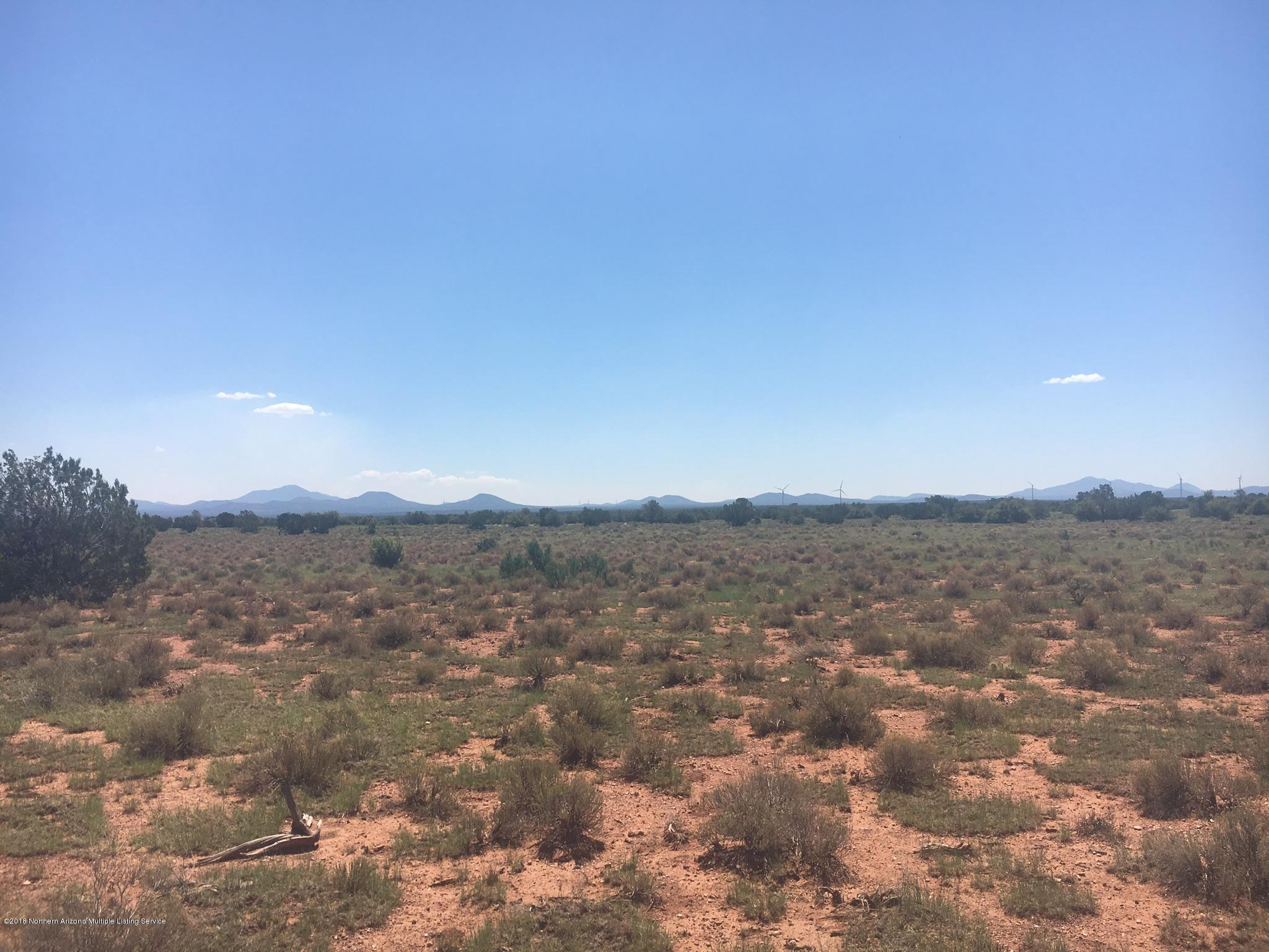 9207 West Red Bluff Road Williams, AZ 86046 - Photo 10 of 11 3FBA3235-F221-4EDE-9A08-7AEAC41F6285