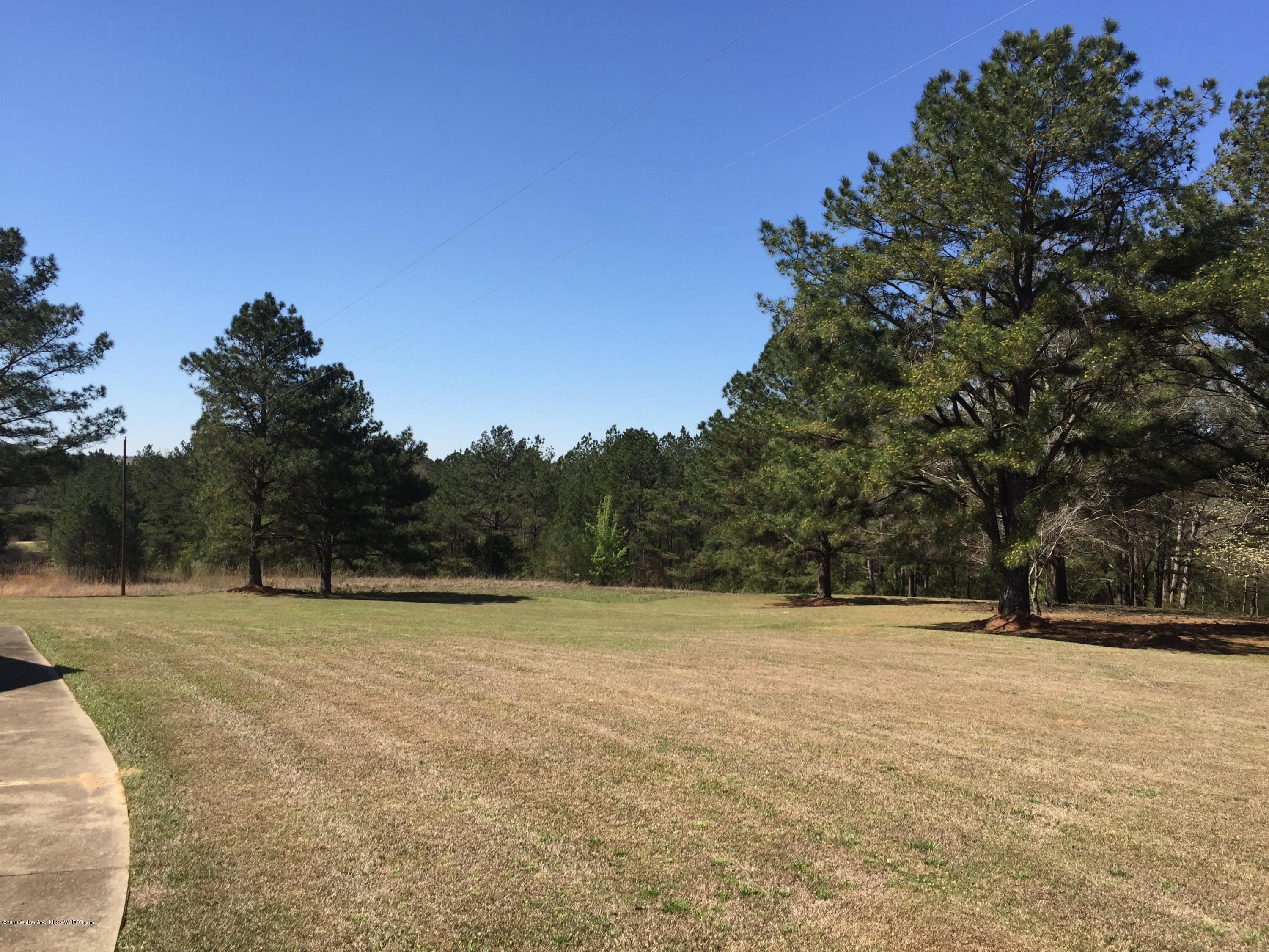 371 Gamble Mine Road Jasper, AL 35503 - Photo 11 of 12 Gallery Image 11