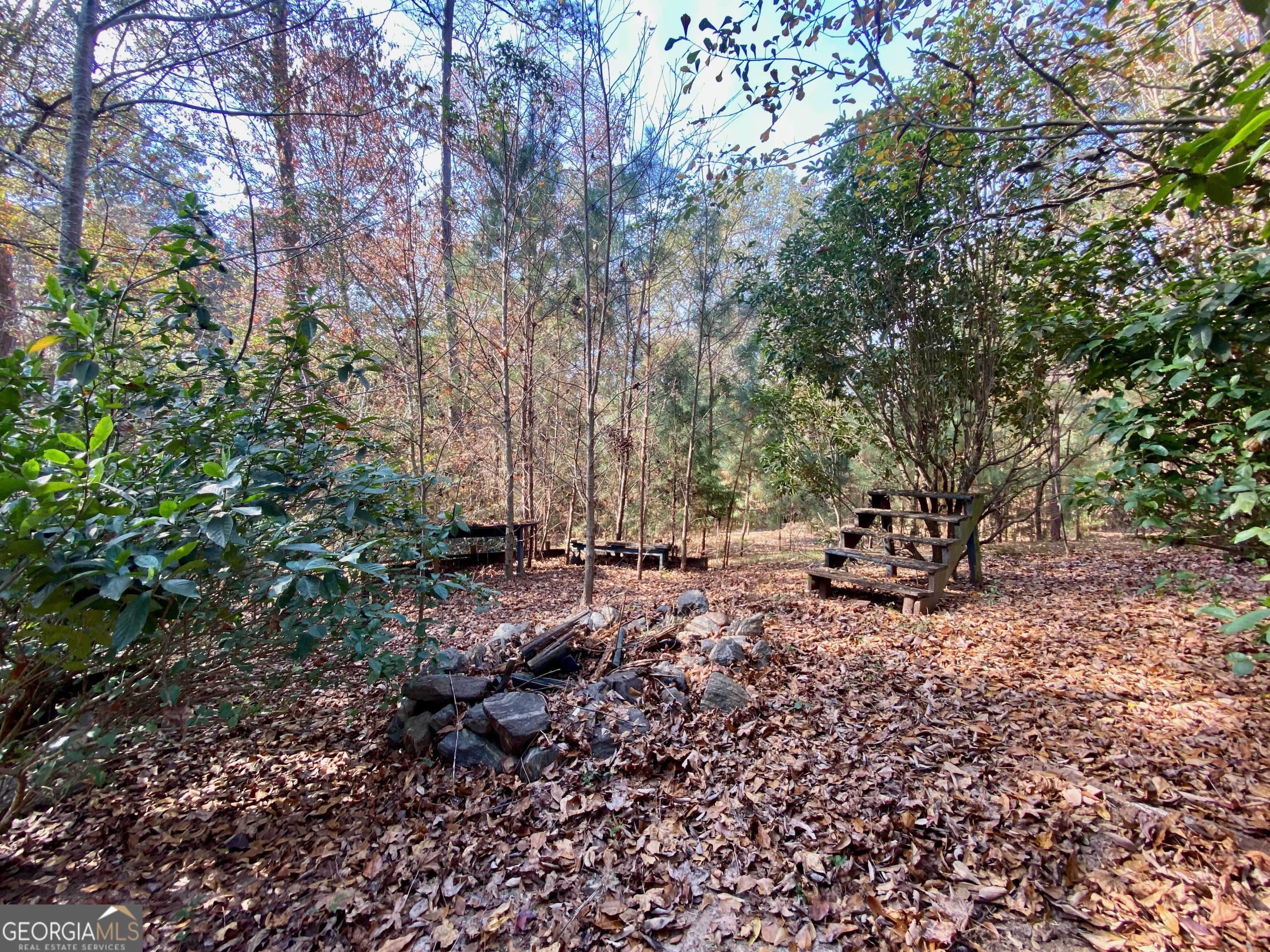 231 West Seminole Drive Byron, GA 31008 - Photo 36 of 38 a view of a forest filled with trees