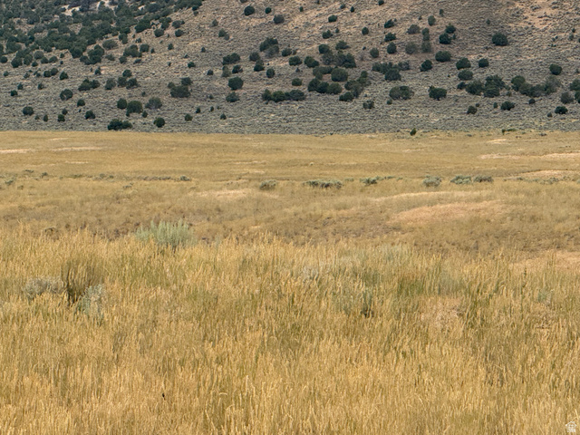 23 Old Dam Road, Unit 23 Levan, UT 84639 - Photo 7 of 17