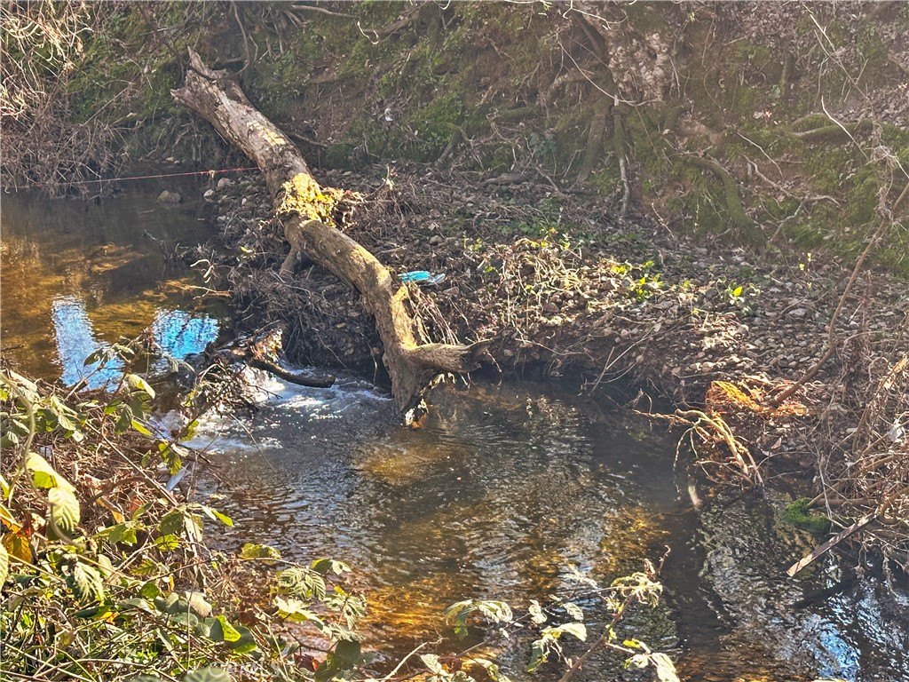 5150 Miners Ranch Road Oroville, CA 95966 - Photo 11 of 12 a backyard of a house