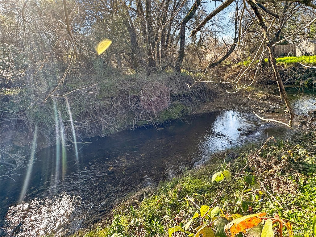 5150 Miners Ranch Road Oroville, CA 95966 - Photo 12 of 12 a view of a yard with a tree