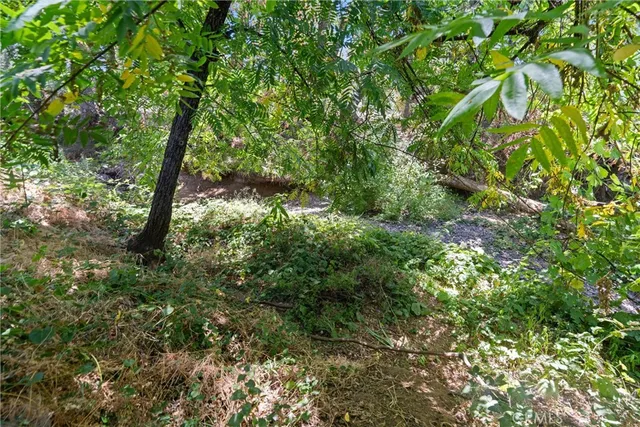 a view of green field with large trees