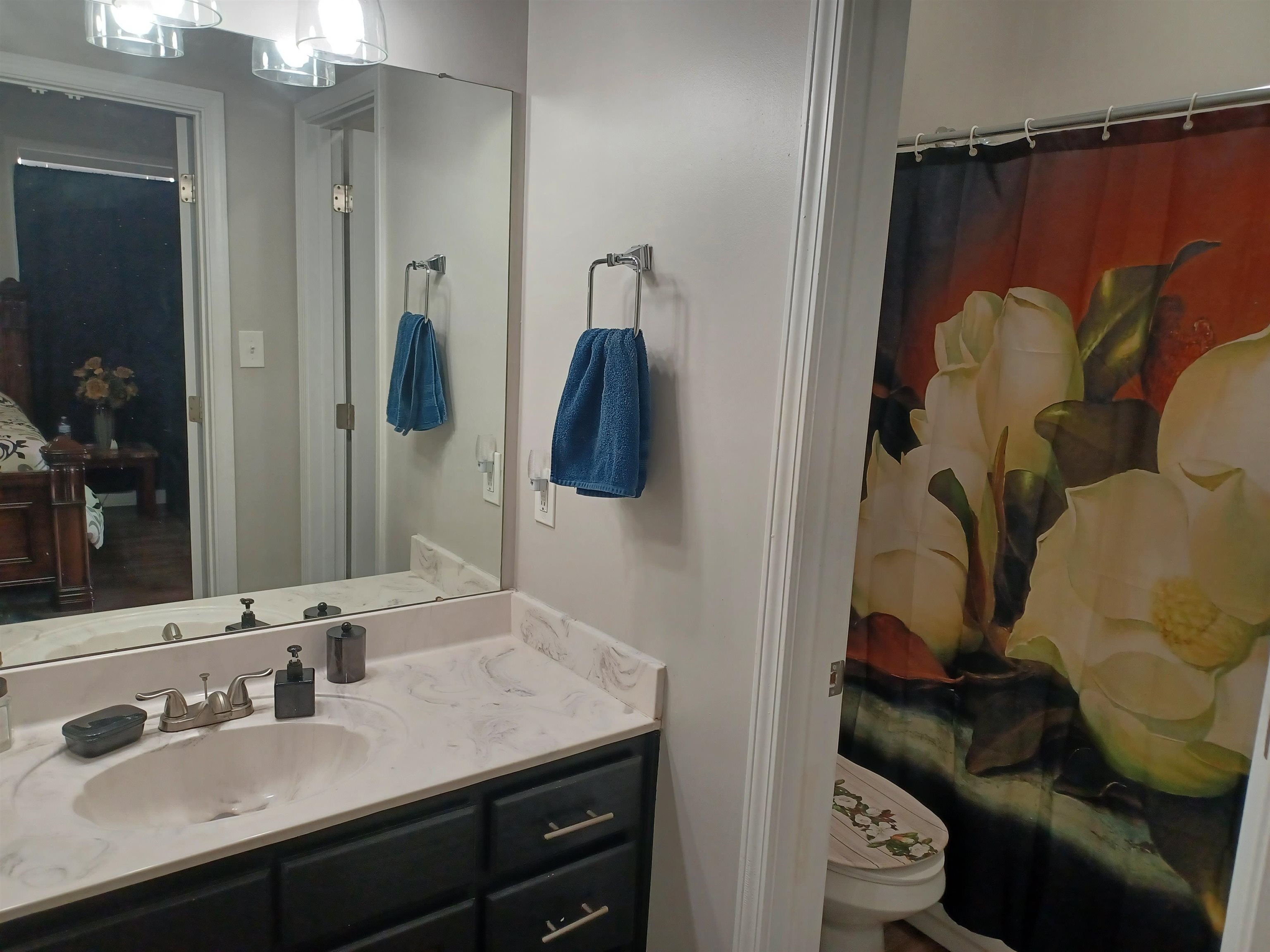 8700 Macon Road Memphis, TN 38018 - Photo 14 of 18 a bathroom with a sink and a mirror