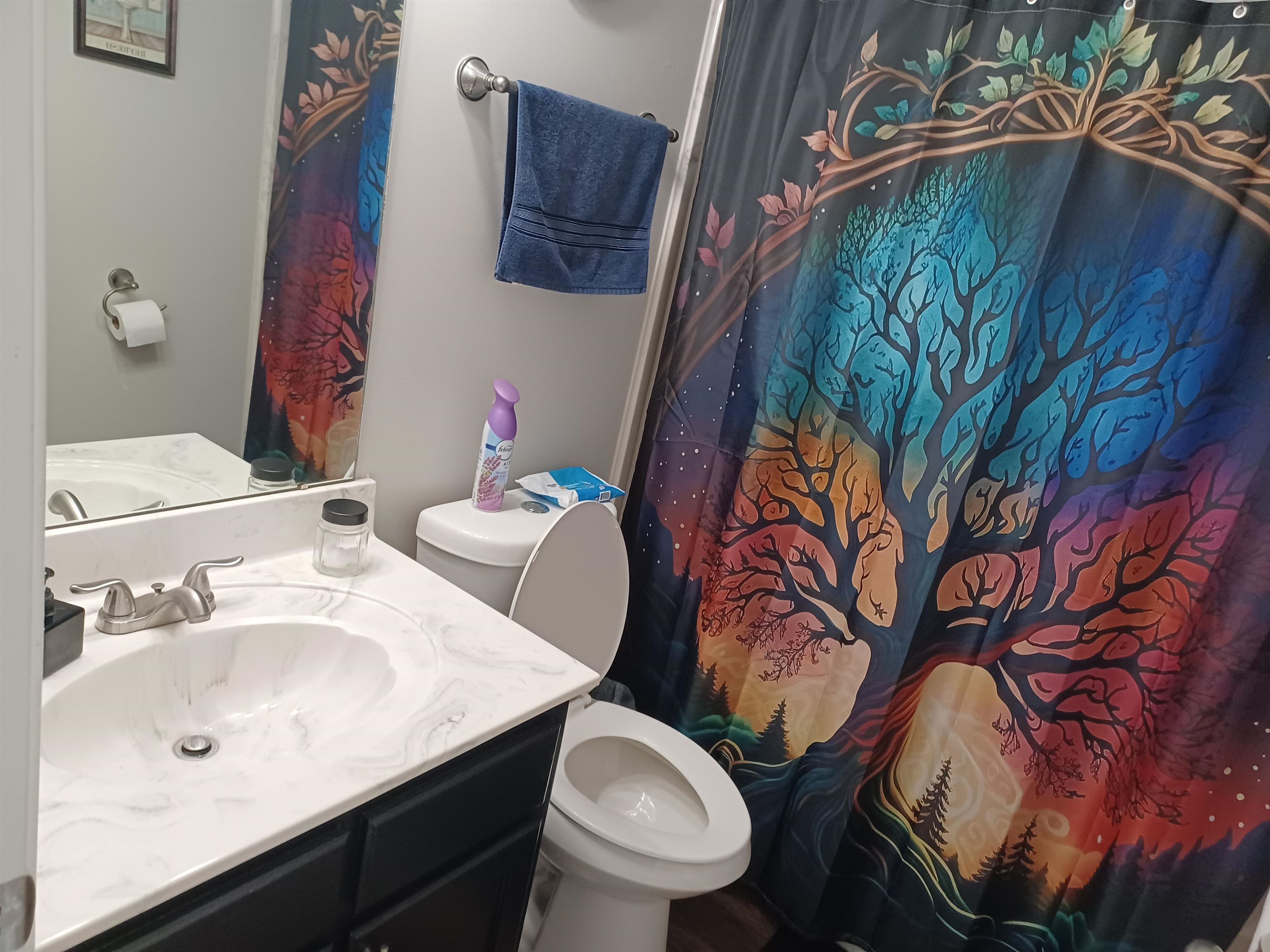8700 Macon Road Memphis, TN 38018 - Photo 15 of 18 a bathroom with a toilet sink and mirror