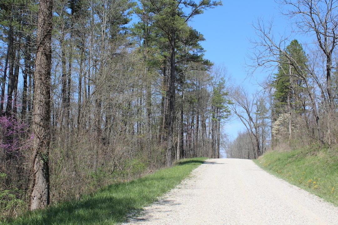0 Tick Ridge Road Vinton, OH 45686 - Photo 3 of 37