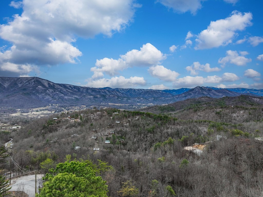 2609 Hatcher Mountain Road Sevierville, TN 37862 - Photo 2 of 52