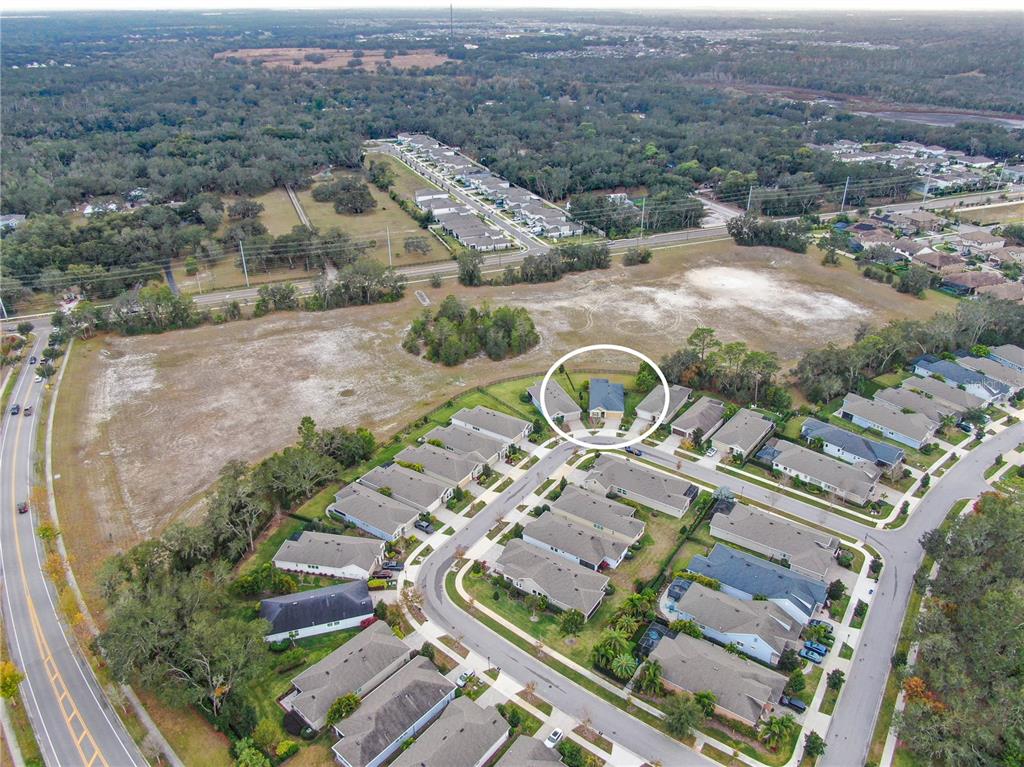 6230 Plover Meadow Street Lithia, FL 33547 - Photo 35 of 50 an aerial view of multiple houses with yard