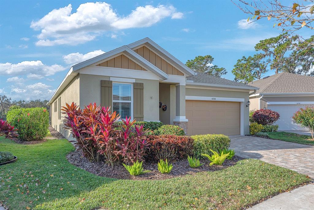 6230 Plover Meadow Street Lithia, FL 33547 - Photo 36 of 50 a front view of a house with a yard