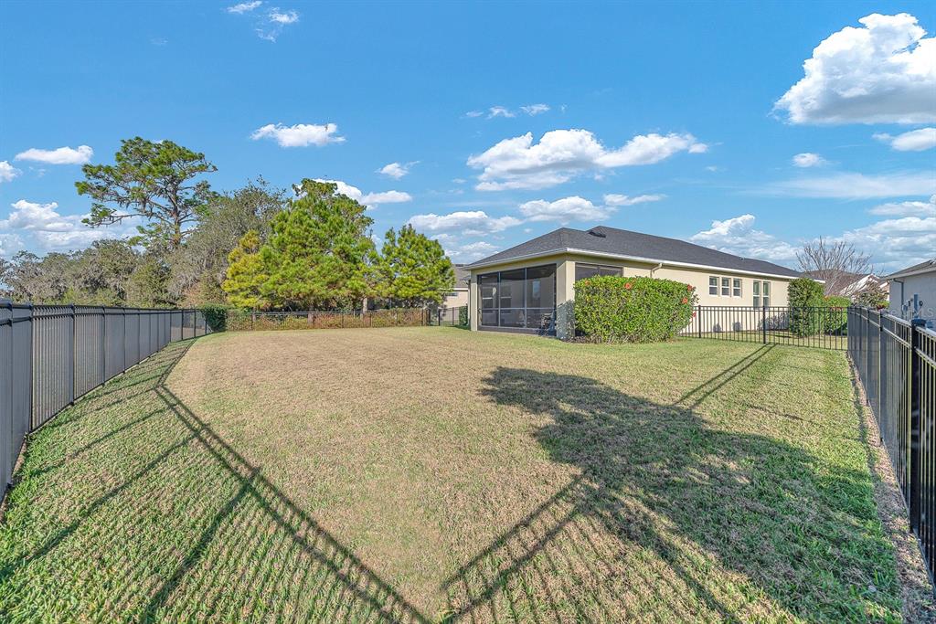 6230 Plover Meadow Street Lithia, FL 33547 - Photo 4 of 50 a view of backyard of house