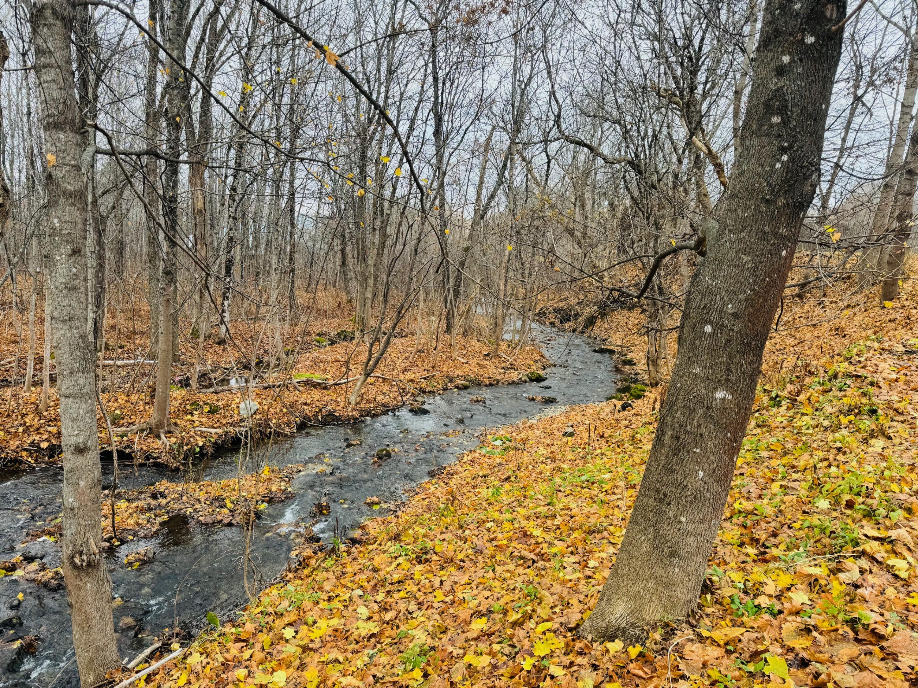 31 Gardner Street Patten, ME 04765 - Photo 4 of 40 IMG_3372
