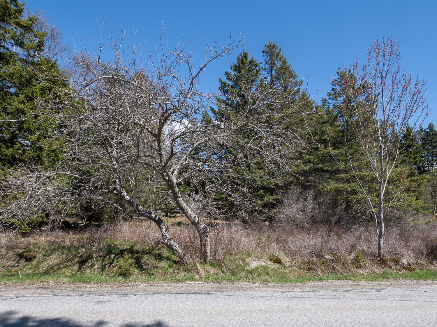 4 30 M/l North Road Swans Island, ME 04685 - Photo 8 of 9