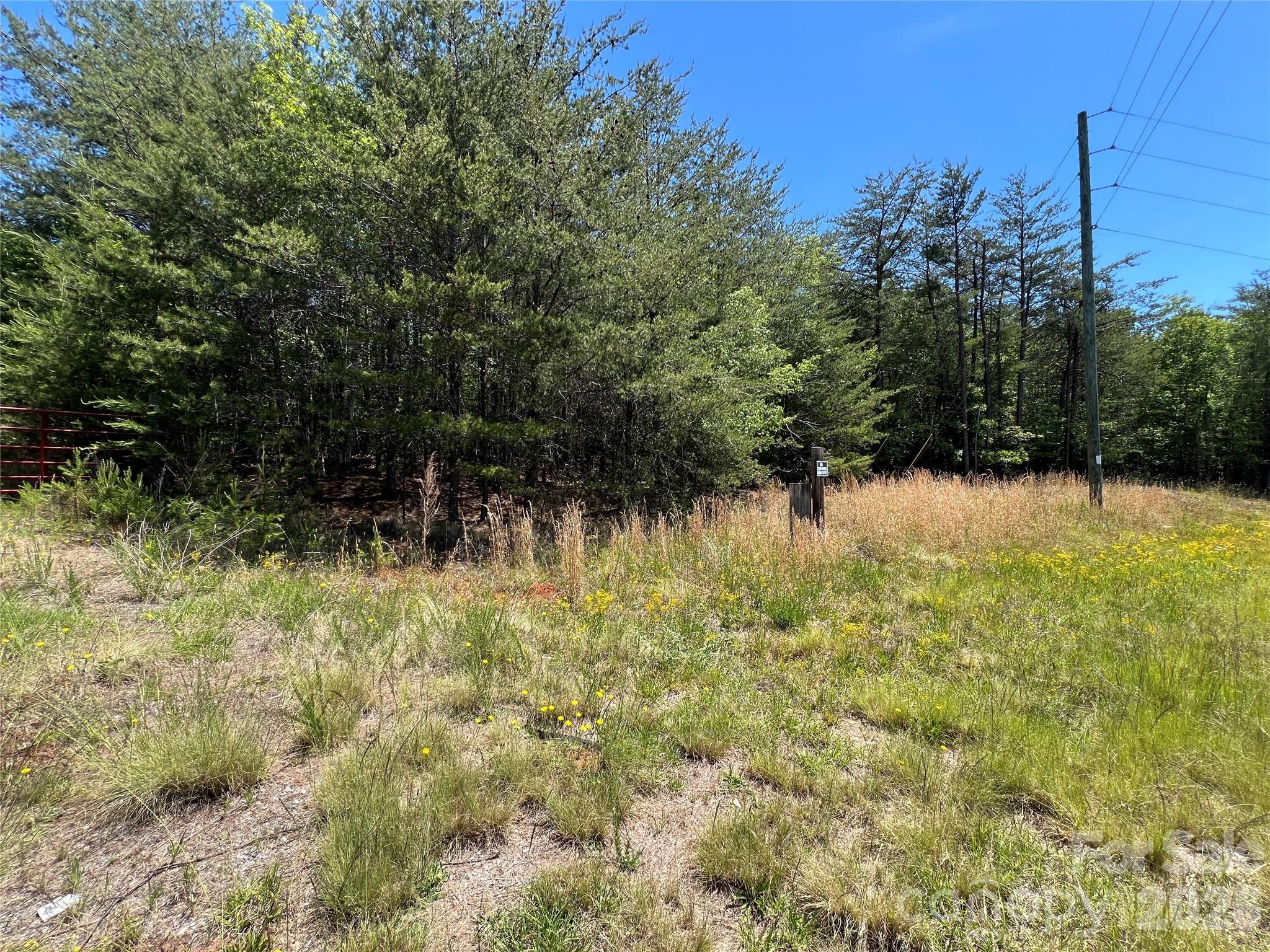 0 Luckadoo Mountain Road, Unit 177 Bostic, NC 28018 - Photo 3 of 11