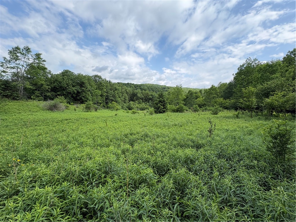 Stage Road South Otselic, NY 13155 - Photo 2 of 29
